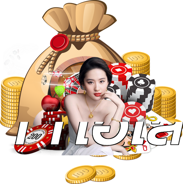 11ไฮโล